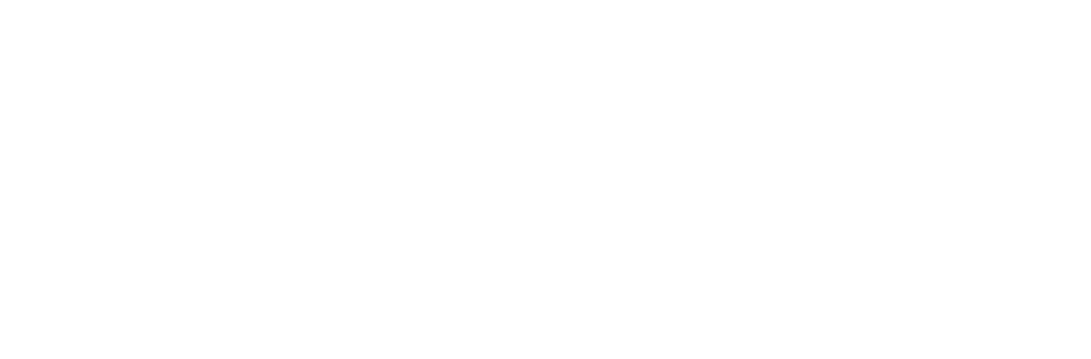 google-white-logo-1